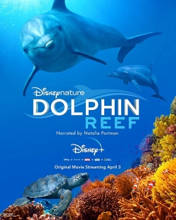 Watch free Dolphin Reef Movies
