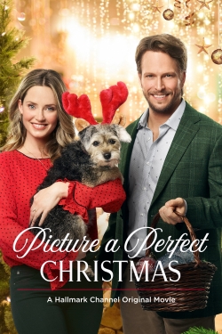 Watch free Picture a Perfect Christmas Movies