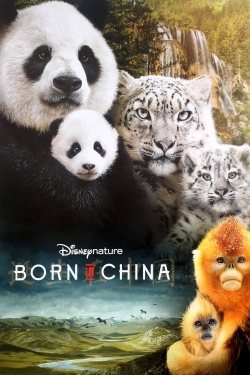 Watch free Born in China Movies