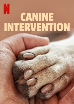 Watch free Canine Intervention Movies
