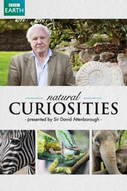 Watch free David Attenborough's Natural Curiosities Movies