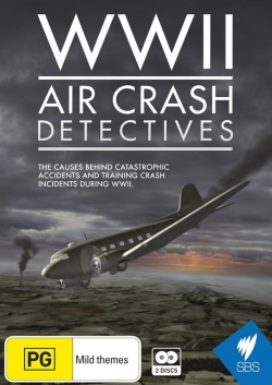 Watch free WWII Air Crash Detectives Movies