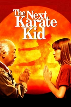 Watch free The Next Karate Kid Movies