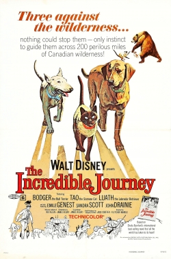 Watch free The Incredible Journey Movies