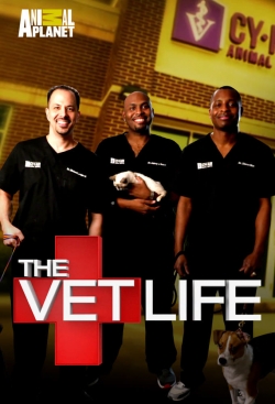 Watch free The Vet Life Movies