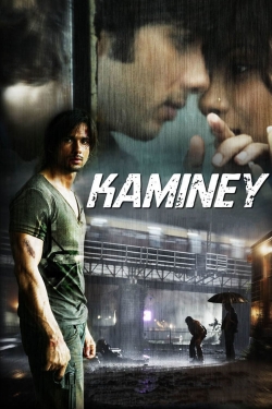 Watch free Kaminey Movies