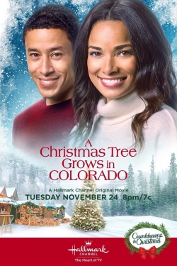 Watch free A Christmas Tree Grows in Colorado Movies