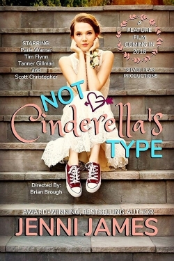 Watch free Not Cinderella's Type Movies