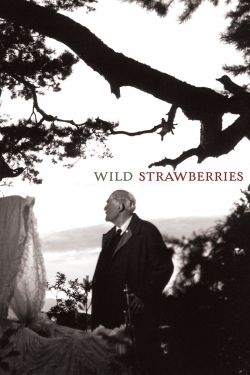 Watch free Wild Strawberries Movies