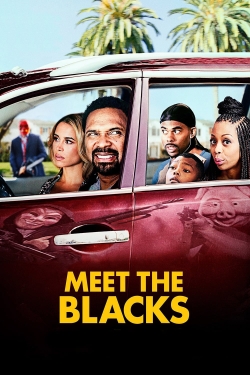 Watch free Meet the Blacks Movies