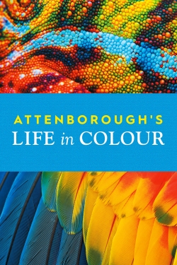Watch free Attenborough's Life in Colour Movies
