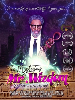 Watch free The Mysterious Mr. Wizdom Movies