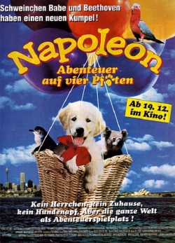 Watch free Napoleon Movies