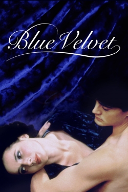 Watch free Blue Velvet Movies