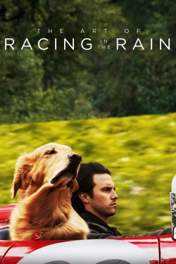 Watch free The Art of Racing in the Rain Movies