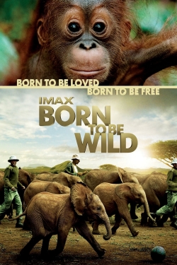 Watch free Born to Be Wild Movies