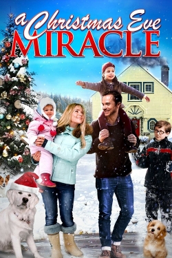 Watch free A Christmas Eve Miracle Movies