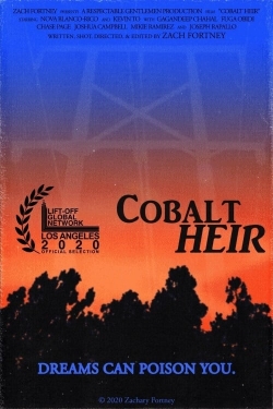 Watch free Cobalt Heir Movies