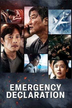 Watch free Emergency Declaration Movies