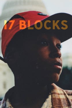 Watch free 17 Blocks Movies