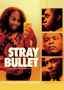 Watch free Stray Bullet Movies