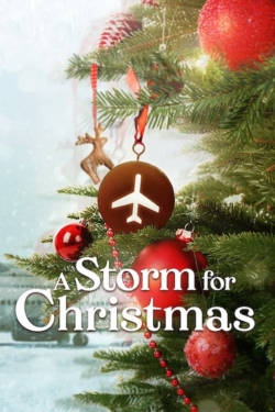 Watch free A Storm for Christmas Movies
