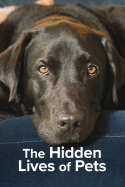 Watch free The Hidden Lives of Pets Movies