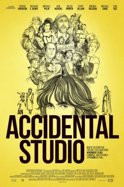 Watch free An Accidental Studio Movies