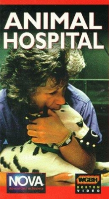 Watch free Animal Hospital Movies