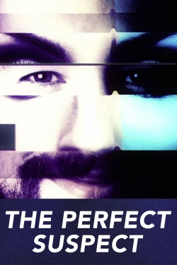 Watch free The Perfect Suspect Movies