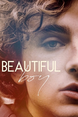 Watch free Beautiful Boy Movies