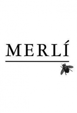 Watch free Merlí Movies