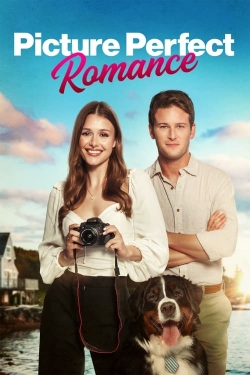 Watch free Picture Perfect Romance Movies