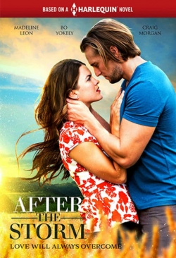 Watch free After the Storm Movies