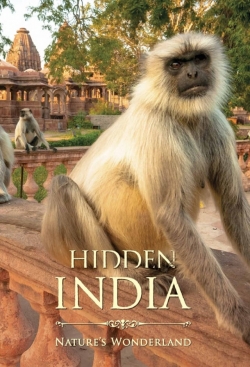 Watch free Hidden India Movies