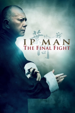 Watch free Ip Man: The Final Fight Movies