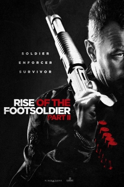 Watch free Rise of the Footsoldier Part II Movies