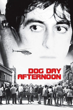 Watch free Dog Day Afternoon Movies