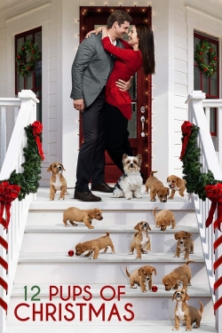 Watch free 12 Pups of Christmas Movies