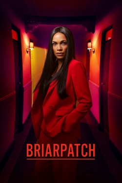 Watch free Briarpatch Movies