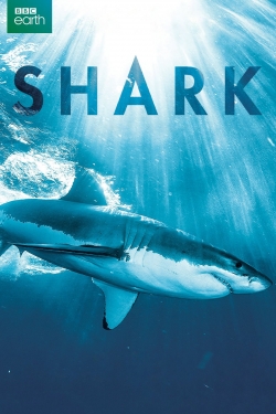 Watch free Shark Movies
