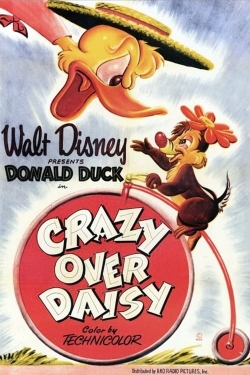 Watch free Crazy Over Daisy Movies