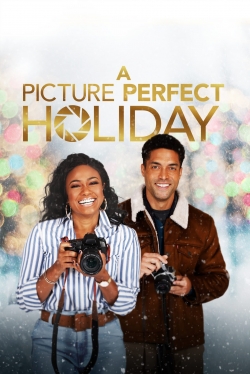 Watch free A Picture Perfect Holiday Movies