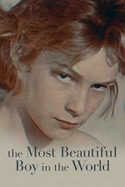 Watch free The Most Beautiful Boy in the World Movies