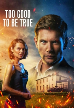Watch free Too Good To Be True Movies
