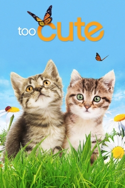 Watch free Too Cute Movies