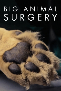 Watch free Big Animal Surgery Movies