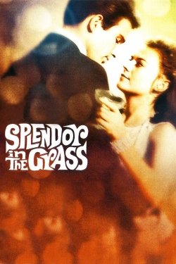 Watch free Splendor in the Grass Movies