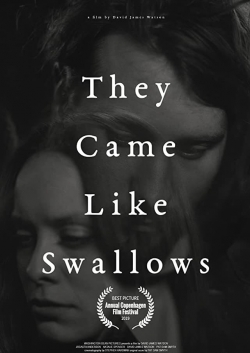 Watch free They Came Like Swallows Movies