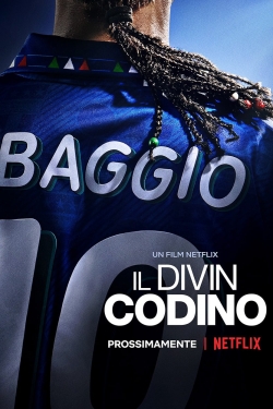 Watch free Baggio: The Divine Ponytail Movies
